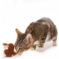 OurPets Backyard Squeaking Bunny Cat Toy 13 OurPets Backyard Squeaking Bunny Cat Toy -Pet Cat Supplies Store 55742 PT8. AC SS1800 V1526316422