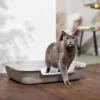 Frisco Senior And Kitten Cat Litter Box