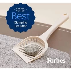 Boxiecat Deep Clean Unscented Probiotic Clumping Clay Cat Litter 14 Boxiecat Deep Clean Unscented Probiotic Clumping Clay Cat Litter -Pet Cat Supplies Store 582126 PT5. AC SS1800 V1658624606