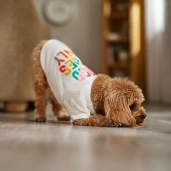 Frisco Good Vibes Only Dog & Cat T-Shirt -Pet Cat Supplies Store 608518 PT7. AC SS1800 V1676644453