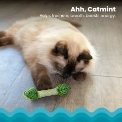 Catstages Fresh Breath Mint Stick Cat Chew Toy 10 Catstages Fresh Breath Mint Stick Cat Chew Toy -Pet Cat Supplies Store 62044 PT2. AC SS1800 V1636519877