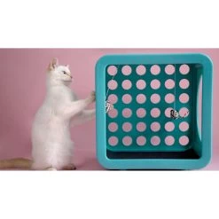 Kitty Kasa Snap On Recreation Cat House -Pet Cat Supplies Store 622038 PT2. AC SS1800 V1663191239