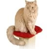 SmartCat The Ultimate Cat Scratching Post Perch Pad 1 SmartCat The Ultimate Cat Scratching Post Perch Pad -Pet Cat Supplies Store 64176. AC SS1800 V1460478784