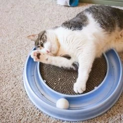 Bergan Scratcher Replacement Pads, 2 Count -Pet Cat Supplies Store 64228 PT4. AC SS1800 V1673648563