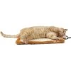 Pet Life 'Scrape-Away' Eco-Natural Sisal & Jute Hanging Carpet Cat Scratcher & Toy 1 Pet Life 'Scrape-Away' Eco-Natural Sisal & Jute Hanging Carpet Cat Scratcher & Toy -Pet Cat Supplies Store 667606 MAIN. AC SS1800 V1665587733