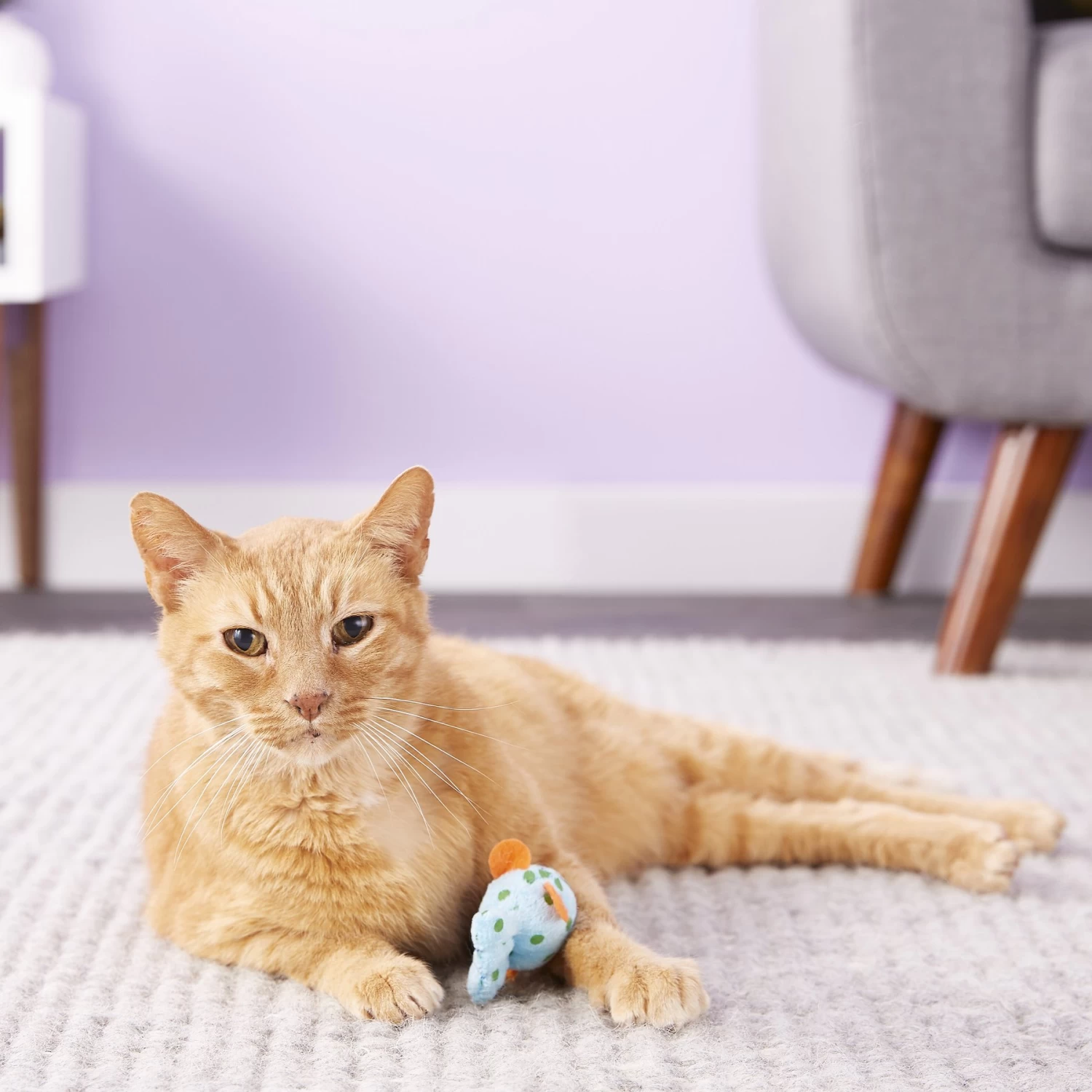 Multipet Look Who's Talking Fish Plush Cat Toy With Catnip 7 Multipet Look Who's Talking Fish Plush Cat Toy With Catnip - Image 5