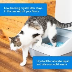 PetSafe ScoopFree Premium Crystal Litter 2-Pack & PetSafe ScoopFree Complete Reusable Litter Tray -Pet Cat Supplies Store 694158 PT2. AC SS1800 V1668532511