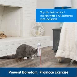 PetSafe Bolt Interactive Laser Cat Toy -Pet Cat Supplies Store 70843 PT5. AC SS1800 V1676317808