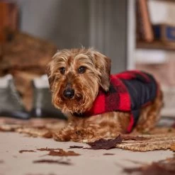 Frisco Reversible Medium Weight Boulder Plaid Dog & Cat Coat 14 Frisco Reversible Medium Weight Boulder Plaid Dog & Cat Coat -Pet Cat Supplies Store 717846 PT7. AC SS1800 V1692375977