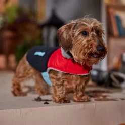 Frisco Medium Weight Retro Colorblock Mixed Media Dog & Cat Coat -Pet Cat Supplies Store 719462 PT7. AC SS1800 V1692379031