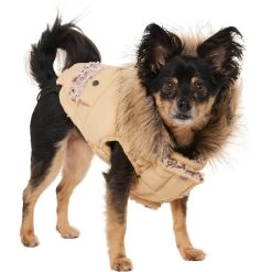 Frisco Heavy Weight Matte Quilted Dog & Cat Parka With Cozy Fleece Lining -Pet Cat Supplies Store 719654 PT2. AC SS1800 V1703184629