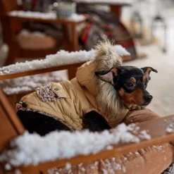 Frisco Heavy Weight Matte Quilted Dog & Cat Parka With Cozy Fleece Lining -Pet Cat Supplies Store 719654 PT7. AC SS1800 V1692376037