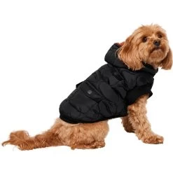 Frisco Heavy Weight Matte Quilted Volume Dog & Cat Puffer -Pet Cat Supplies Store 719750 PT2. AC SS1800 V1703184628