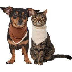 Frisco Reversible Cozy Knit Faux Fur Dog & Cat Pullover Bandana