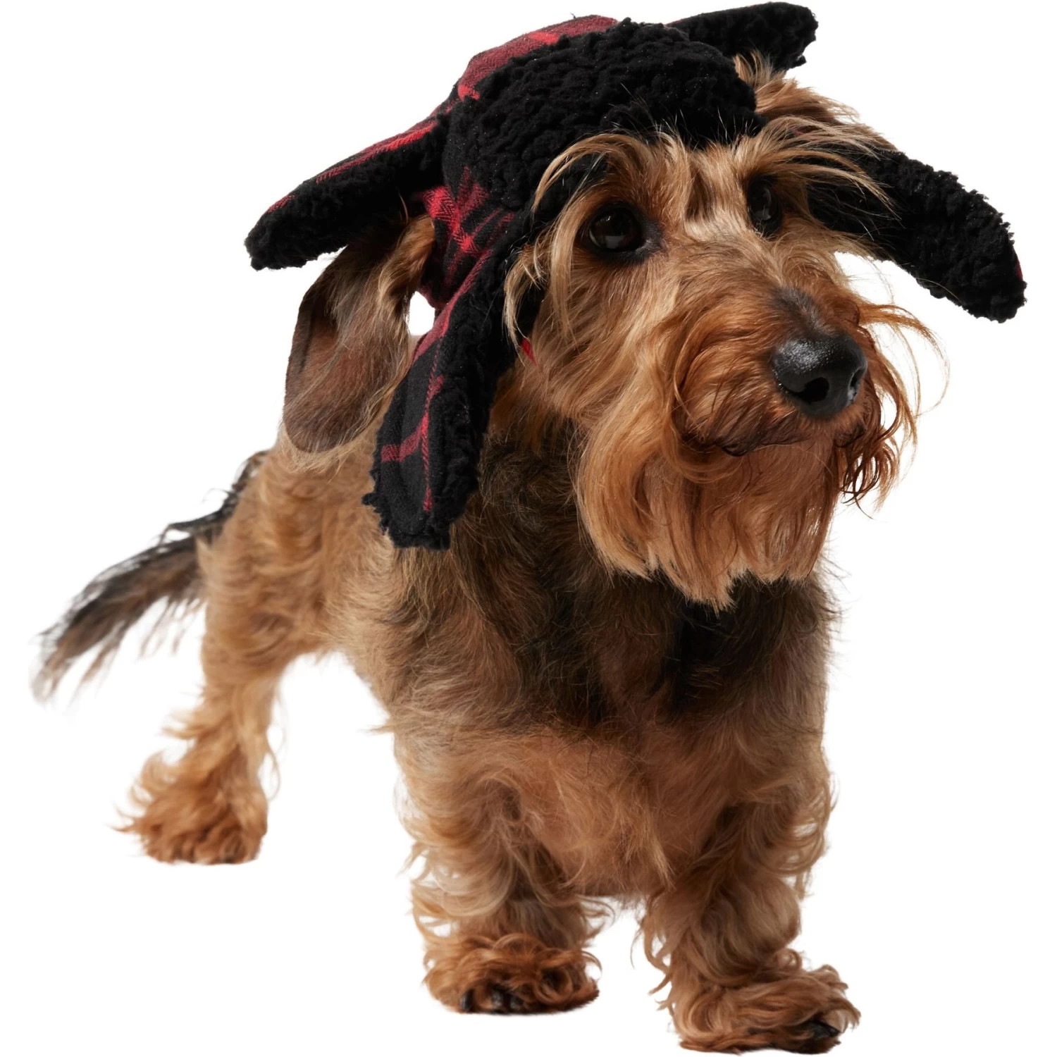 Frisco Tartan Plaid Dog & Cat Trapper Hat 5 Frisco Tartan Plaid Dog & Cat Trapper Hat - Image 3