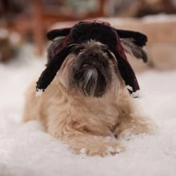 Frisco Tartan Plaid Dog & Cat Trapper Hat 14 Frisco Tartan Plaid Dog & Cat Trapper Hat -Pet Cat Supplies Store 746750 PT5. AC SS1800 V1694800749