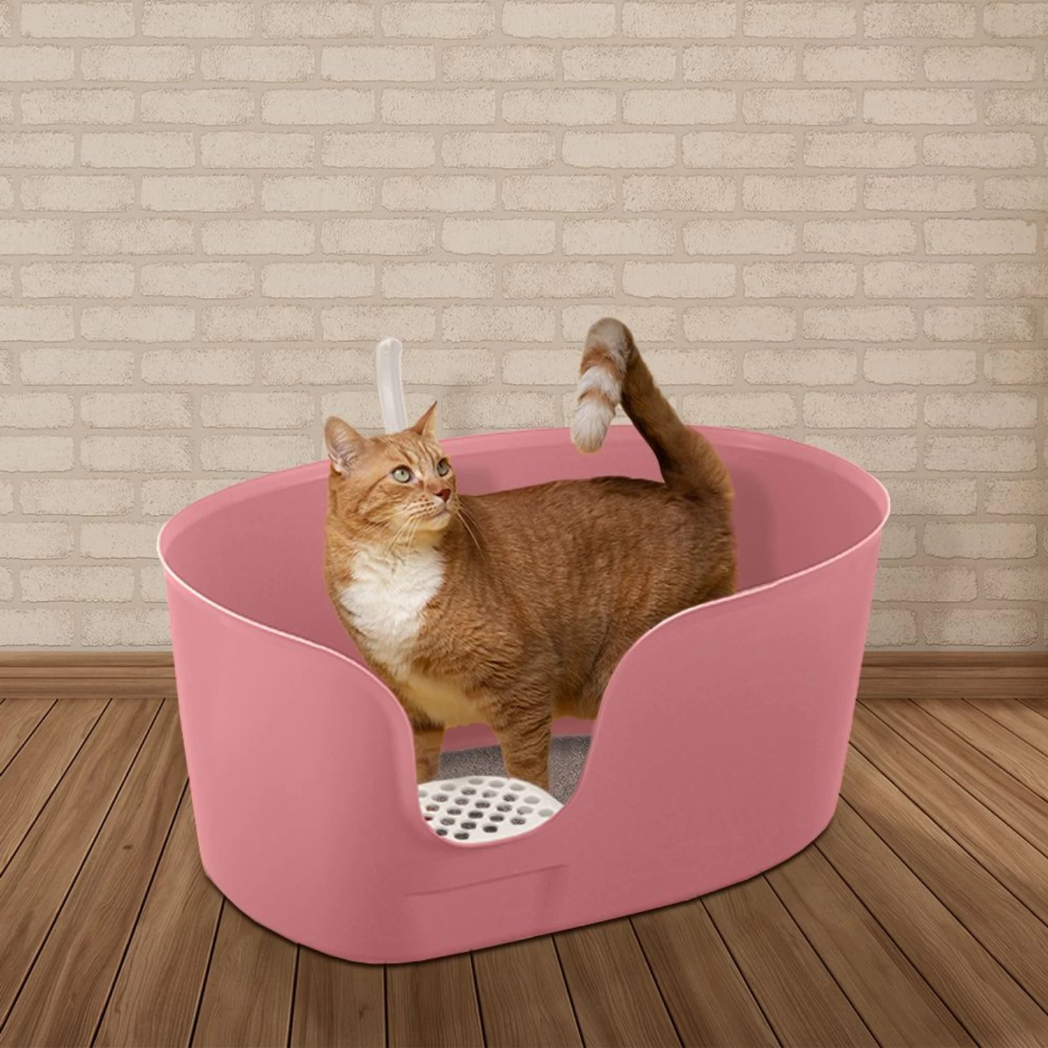 Richell PAW TRAX High Wall Cat Litter Box, X-Large 6 Richell PAW TRAX High Wall Cat Litter Box, X-Large - Image 4