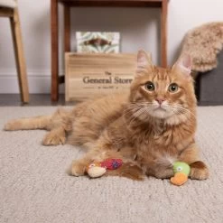 SmartyKat Instincts Love Mates Feathery Plush HappyNip Silvervine & Catnip Bird Cat Toys, 2-pack 11 SmartyKat Instincts Love Mates Feathery Plush HappyNip Silvervine & Catnip Bird Cat Toys, 2-pack -Pet Cat Supplies Store 847110 PT2. AC SS1800 V1683729344