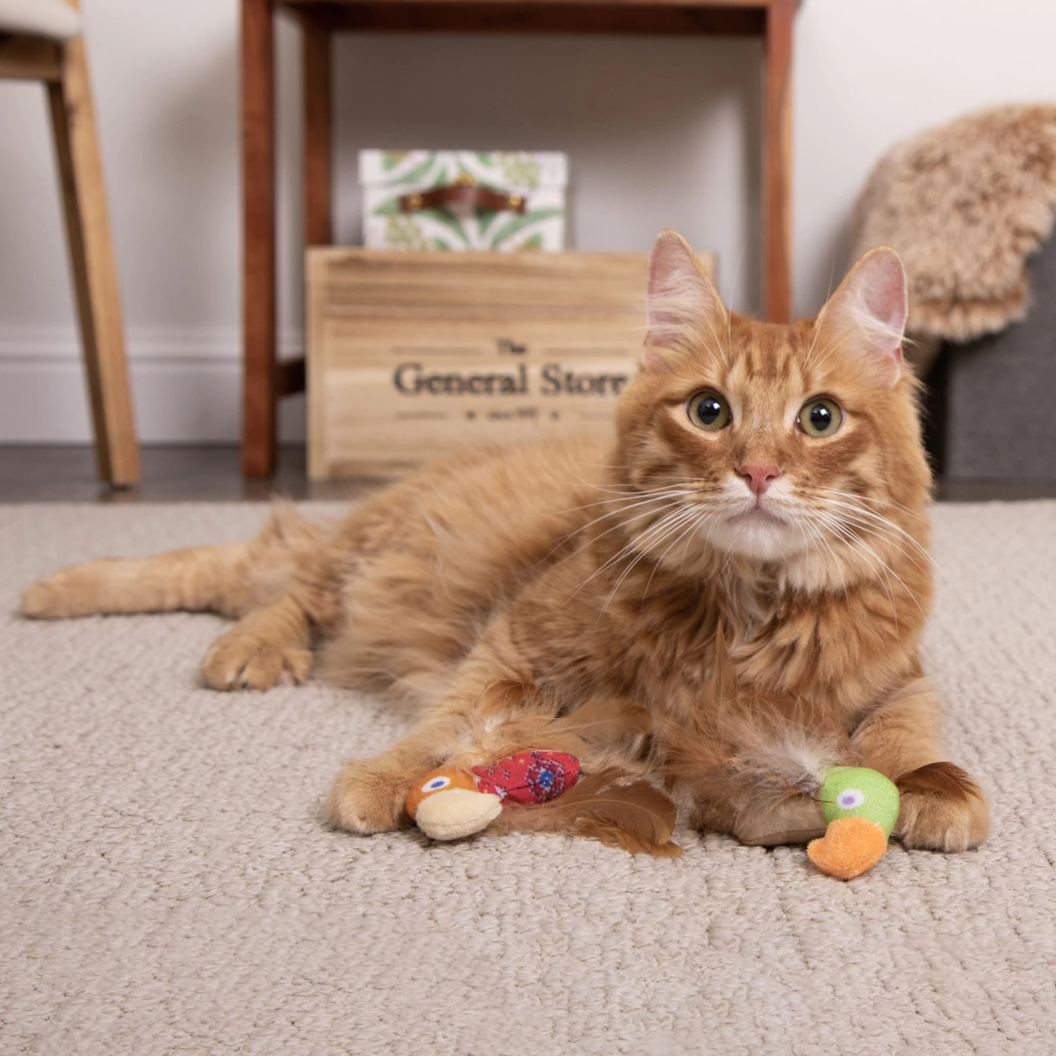 SmartyKat Instincts Love Mates Feathery Plush HappyNip Silvervine & Catnip Bird Cat Toys, 2-pack 5 SmartyKat Instincts Love Mates Feathery Plush HappyNip Silvervine & Catnip Bird Cat Toys, 2-pack - Image 3