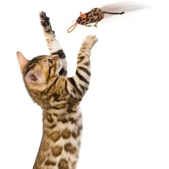 SmartyKat Instincts Safari Sneakers HappyNip Silvervine & Catnip Plush Cat Toys & Launcher Cat Toy, 3-pack & 1 Count -Pet Cat Supplies Store 847206 PT5. AC SS1800 V1683728375