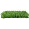 SmartyKat Instincts Meadow Mayhem Paper Grass Hide & Seek Cat Toy, 2-pack -Pet Cat Supplies Store 847238 MAIN. AC SS1800 V1683728311