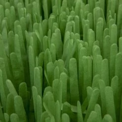 SmartyKat Instincts Meadow Mayhem Paper Grass Hide & Seek Cat Toy, 2-pack -Pet Cat Supplies Store 847238 PT6. AC SS1800 V1683728572