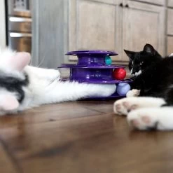 Quirky Kitty Three Layer Ball Track Cat Toy -Pet Cat Supplies Store 900102 PT4. AC SS1800 V1689010871