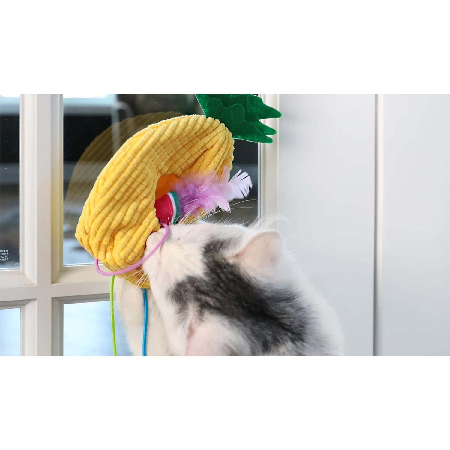 Quirky Kitty Tropical Teaser Doornob Dangler Cat Toy 4 Quirky Kitty Tropical Teaser Doornob Dangler Cat Toy - Image 2