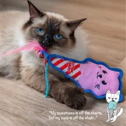 Catstages Kitt'n Candy Kicker Pink Interactive Catnip Cat Toy, Pink -Pet Cat Supplies Store 976198 PT5. AC SS1800 V1696615406