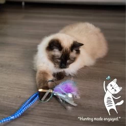 Catstages Tail Teaser Air Prey Play Wand Cat Toy, Blue -Pet Cat Supplies Store 976214 PT7. AC SS1800 V1696615403